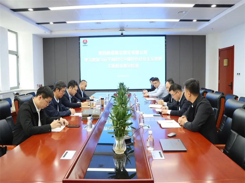 公司開展學習貫徹習近平新時代中國特色社會主義思想主題教育督導檢查.jpg