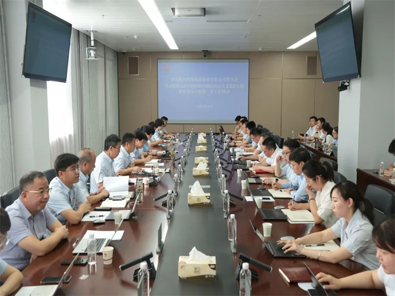 公司召開學習貫徹習近平新時代中國特色社會主義思想主題教育第三次工作例會.jpg