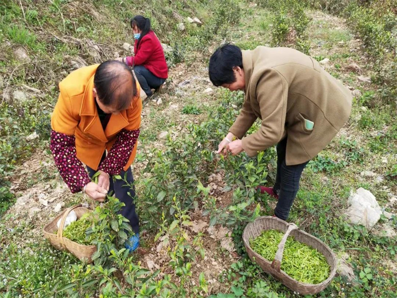 榮譽丨公司在2022年度省級定點幫扶考核中獲多項榮譽（3）.jpg