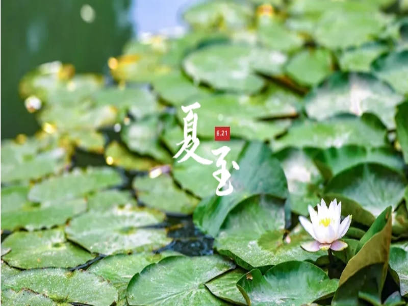 微信截圖_20240622093616.png